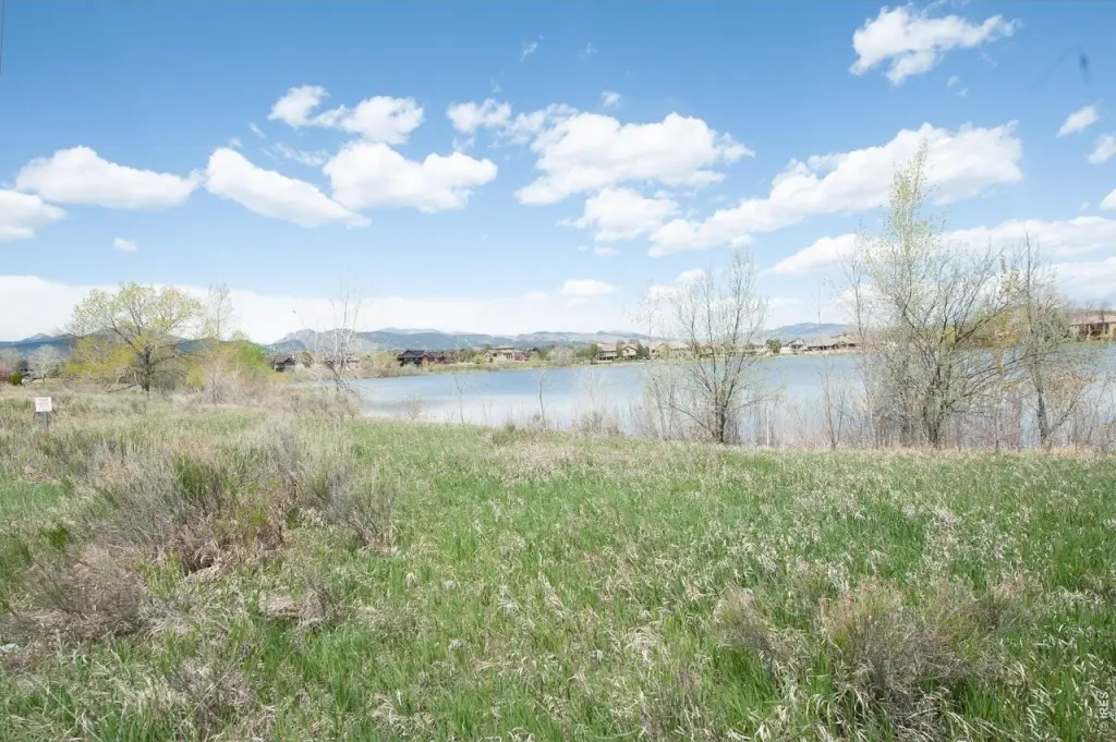 Picture 31