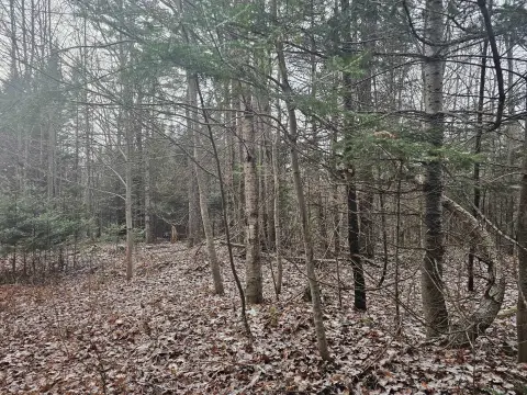Dummer, NH Land Opportunity