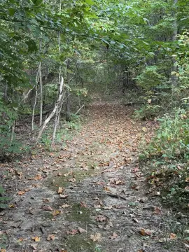 Bloomington Agricultural Land For Sale