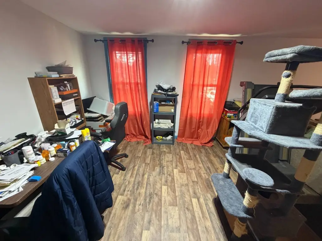 Picture 12