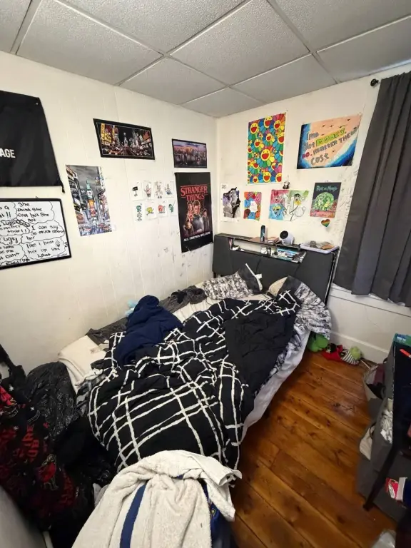 Picture 33
