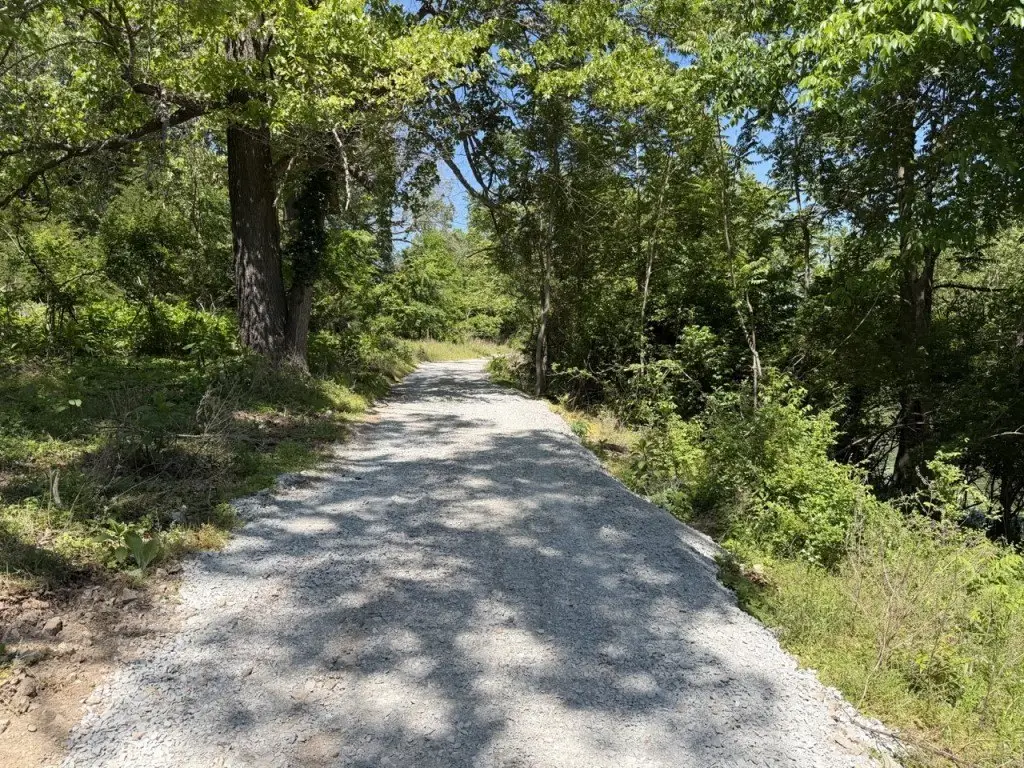 Picture 5