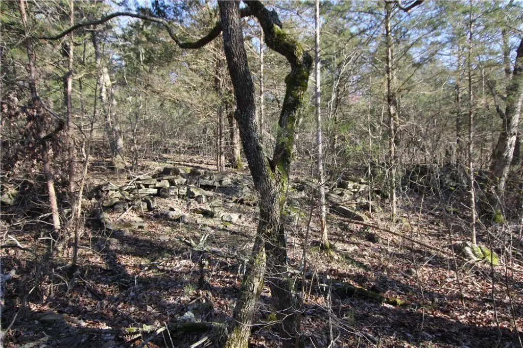 Picture 16