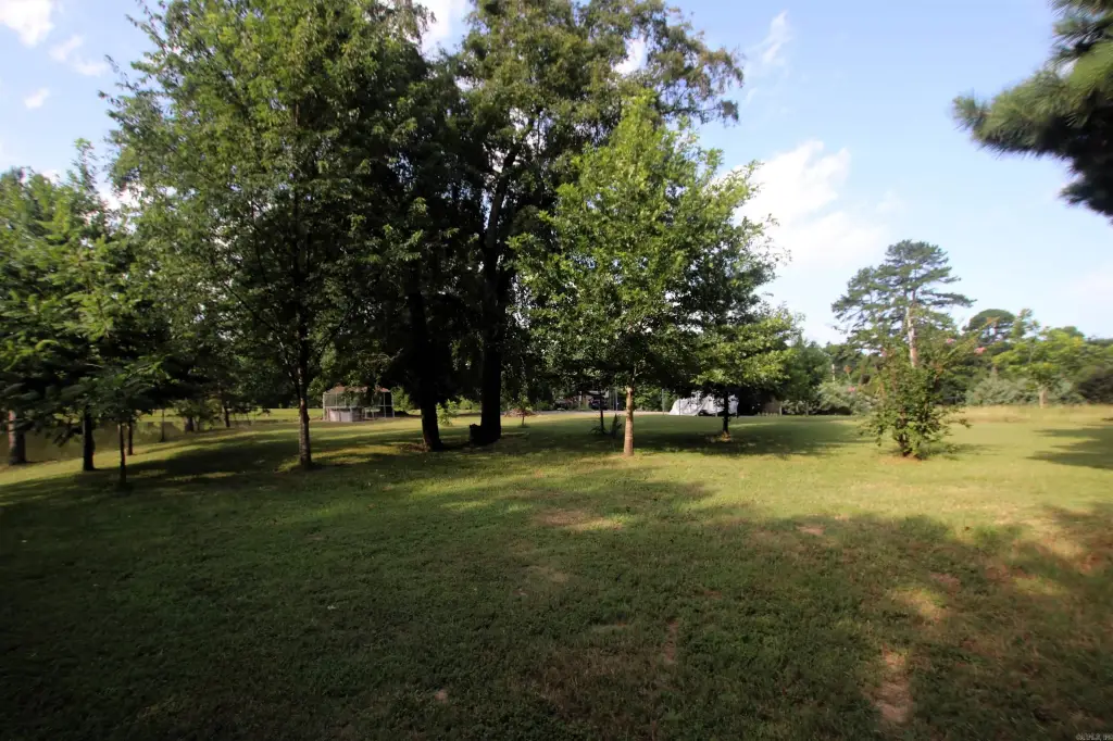 Picture 23