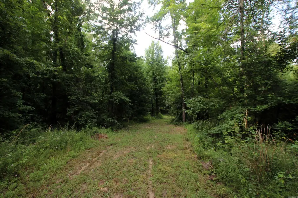 Picture 3