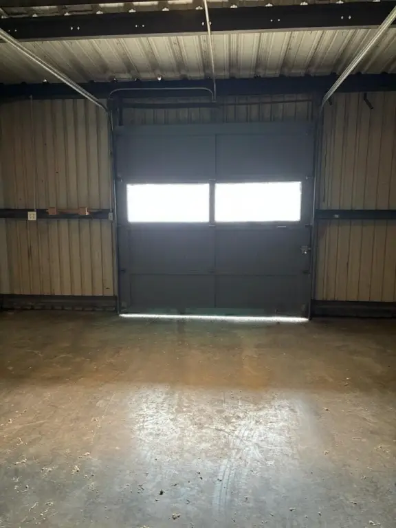 Picture 11