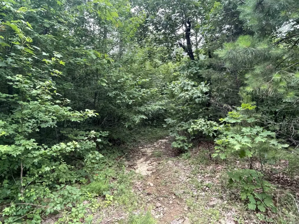 Picture 3