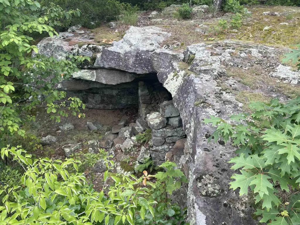 Picture 6