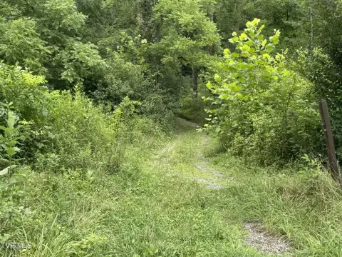 Wooded Hunting Land