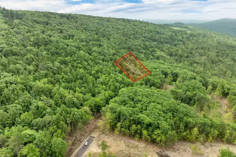 Wooded Lot in Lakes Region