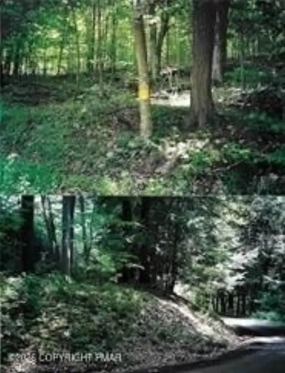 Picture 4