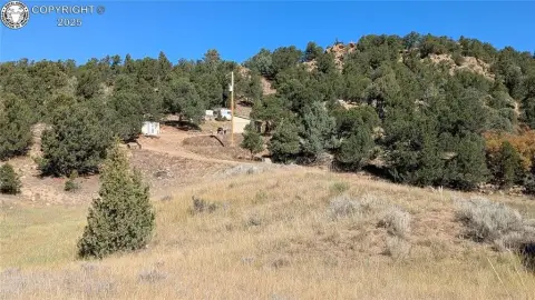 Canon City Land with Shed