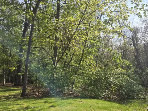 Picture of Residential land & home lots at W 450 N, Michigan City, IN