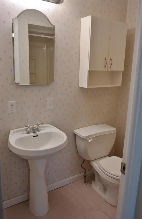 Picture 13