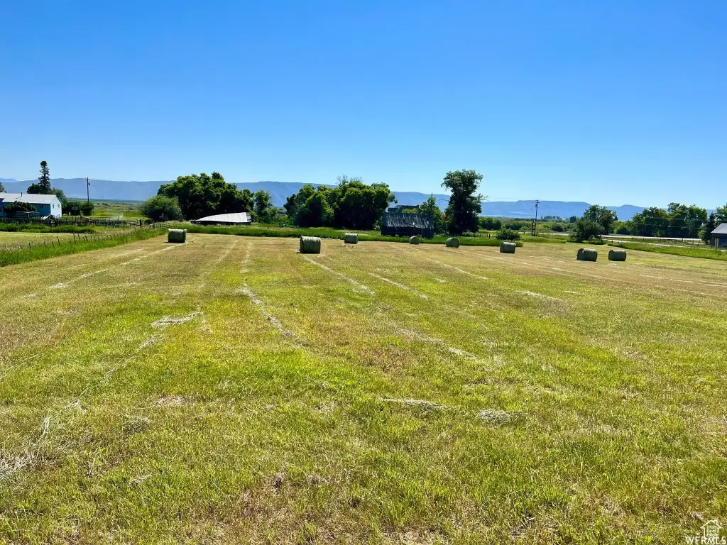 Picture 7