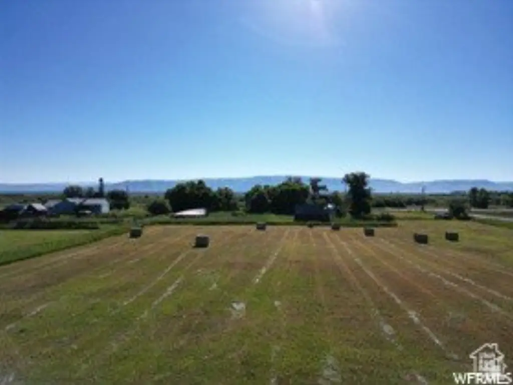 Picture 11