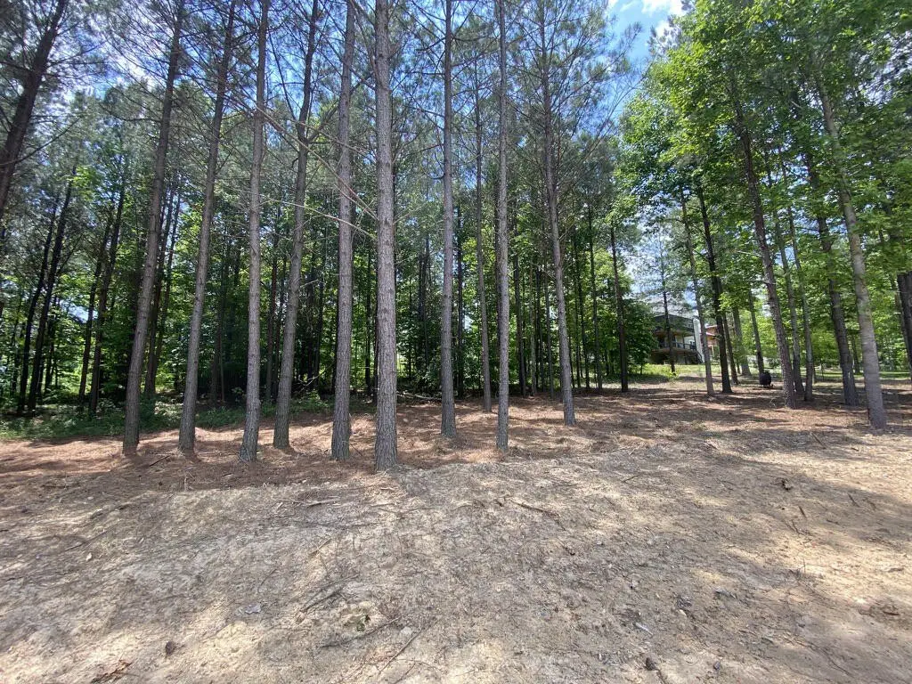 Picture 25