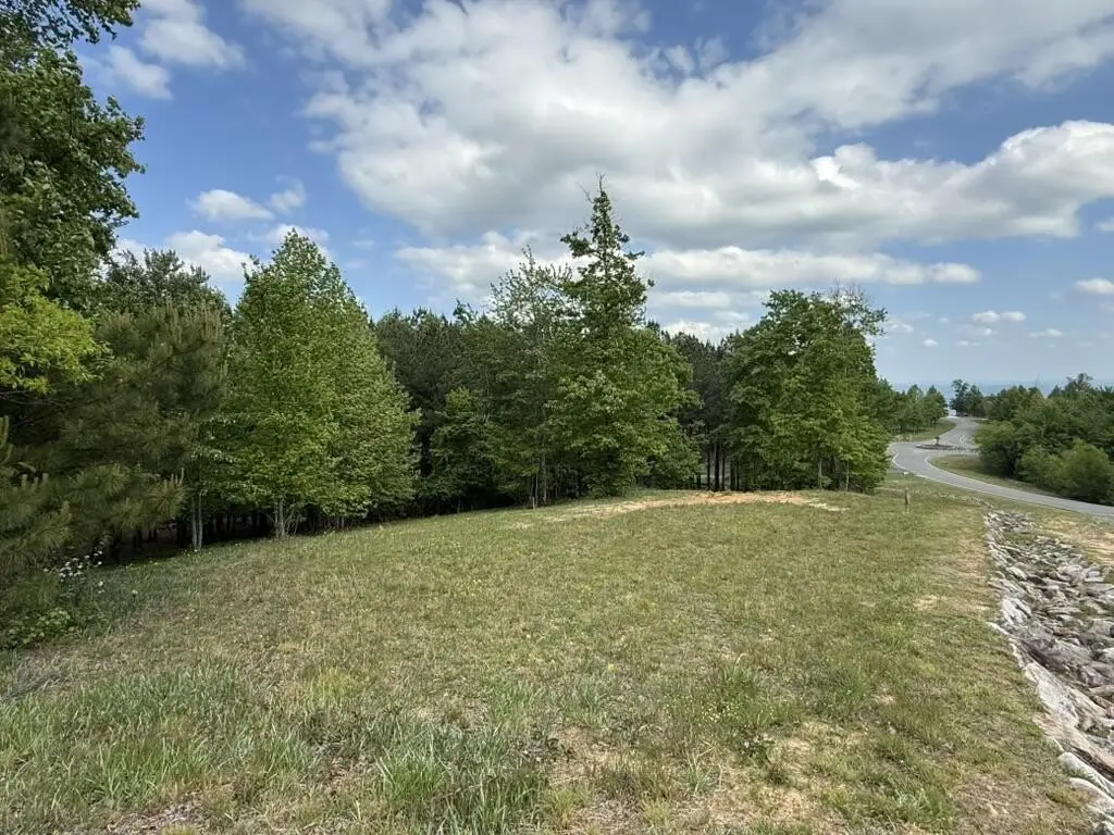 Picture 24
