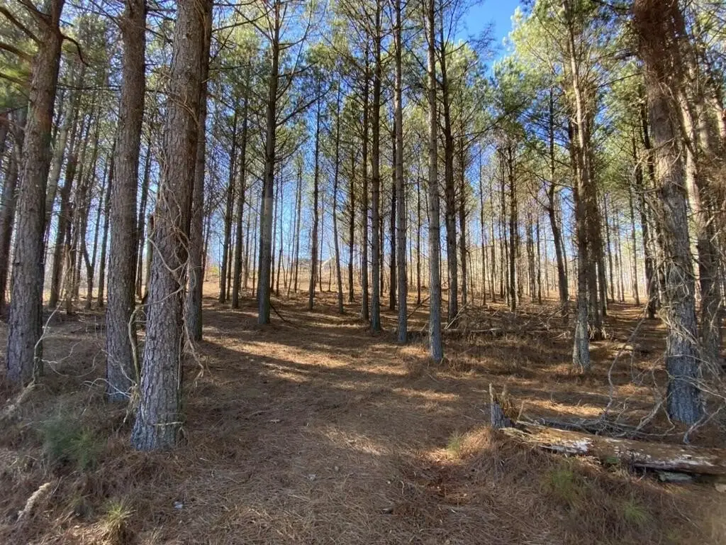 Picture 10