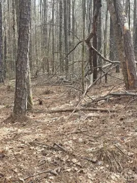 Picture of Land at White Pine Ct., Sparta, GA