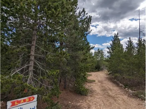 Picture of Recreation land at 90 Quapaw Ct, Red Feather Lakes, CO
