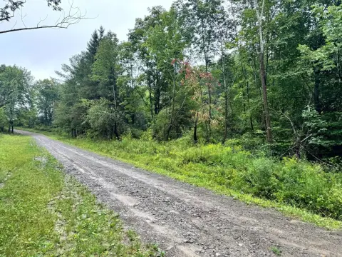 Wooded Recreational Land