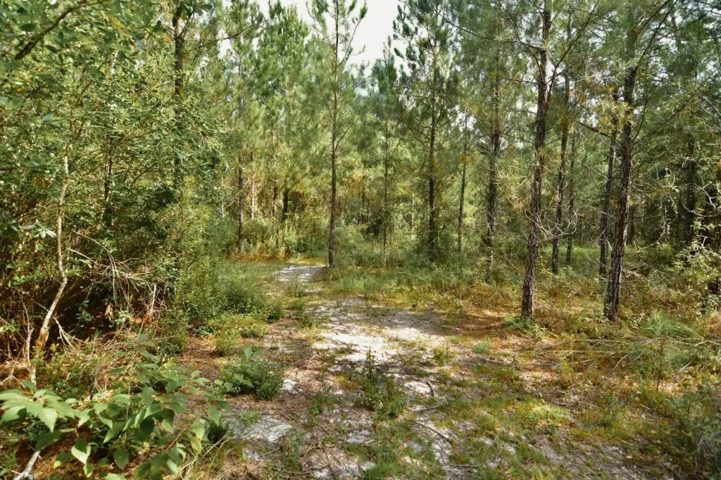 Picture 48