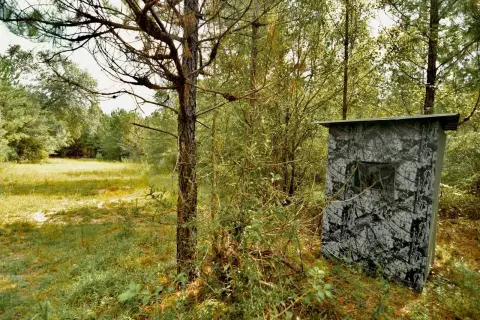 Picture of Hunting land at Federal Rd, Quincy, FL