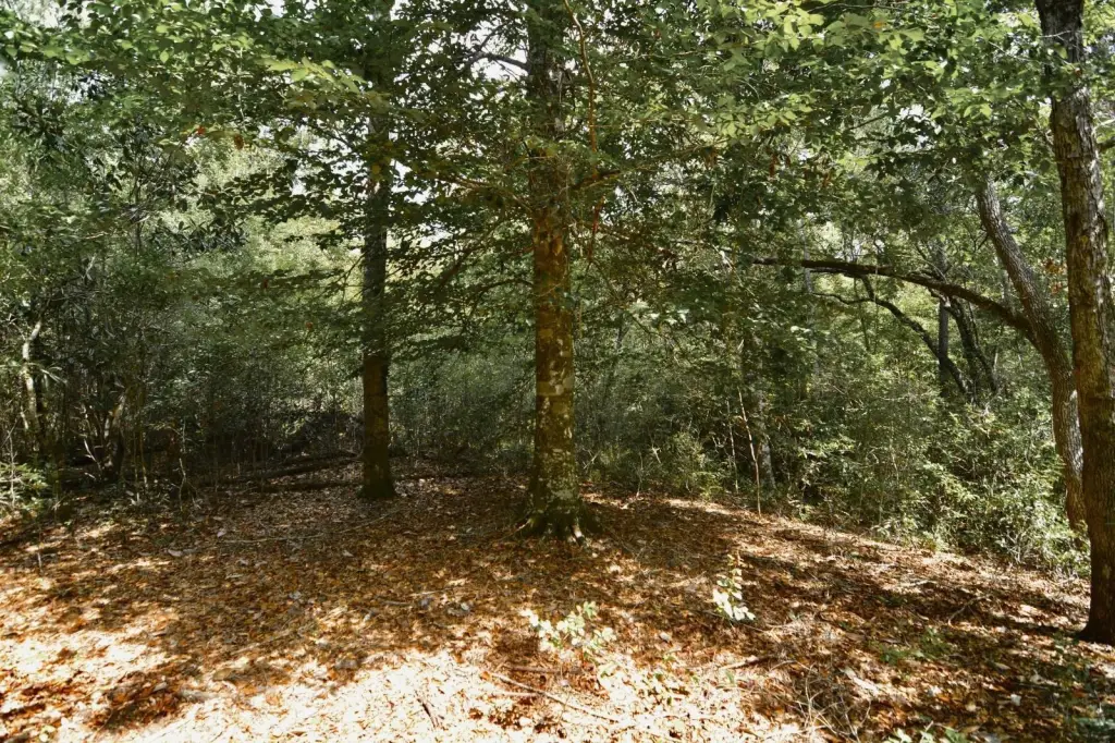 Picture 32
