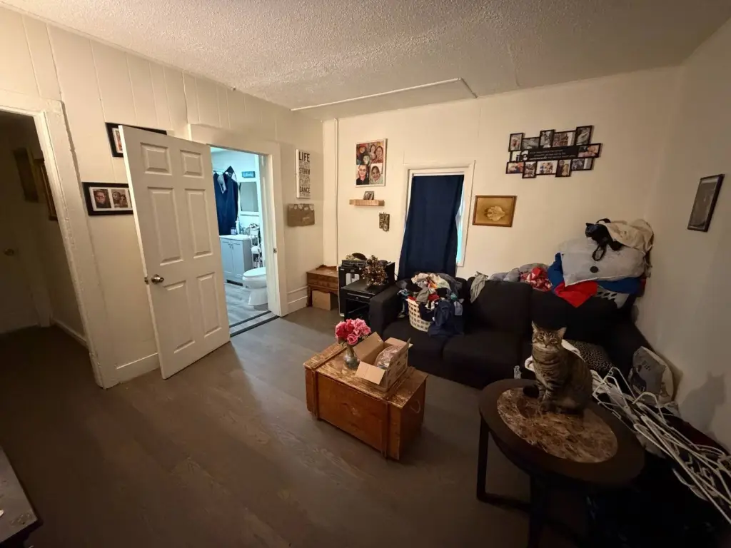 Picture 15