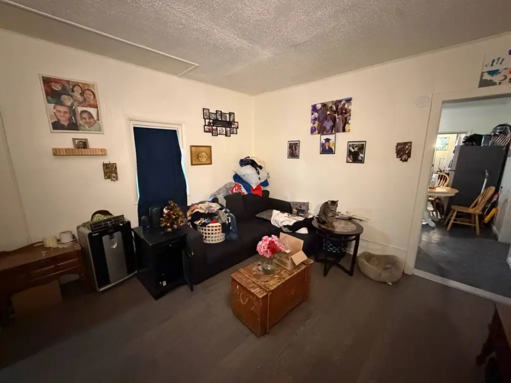 Picture 16