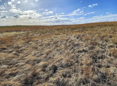 Affordable CRP Parcel Near Pine Bluffs