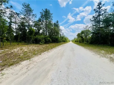 Williston, FL 10-Acre Land Tract