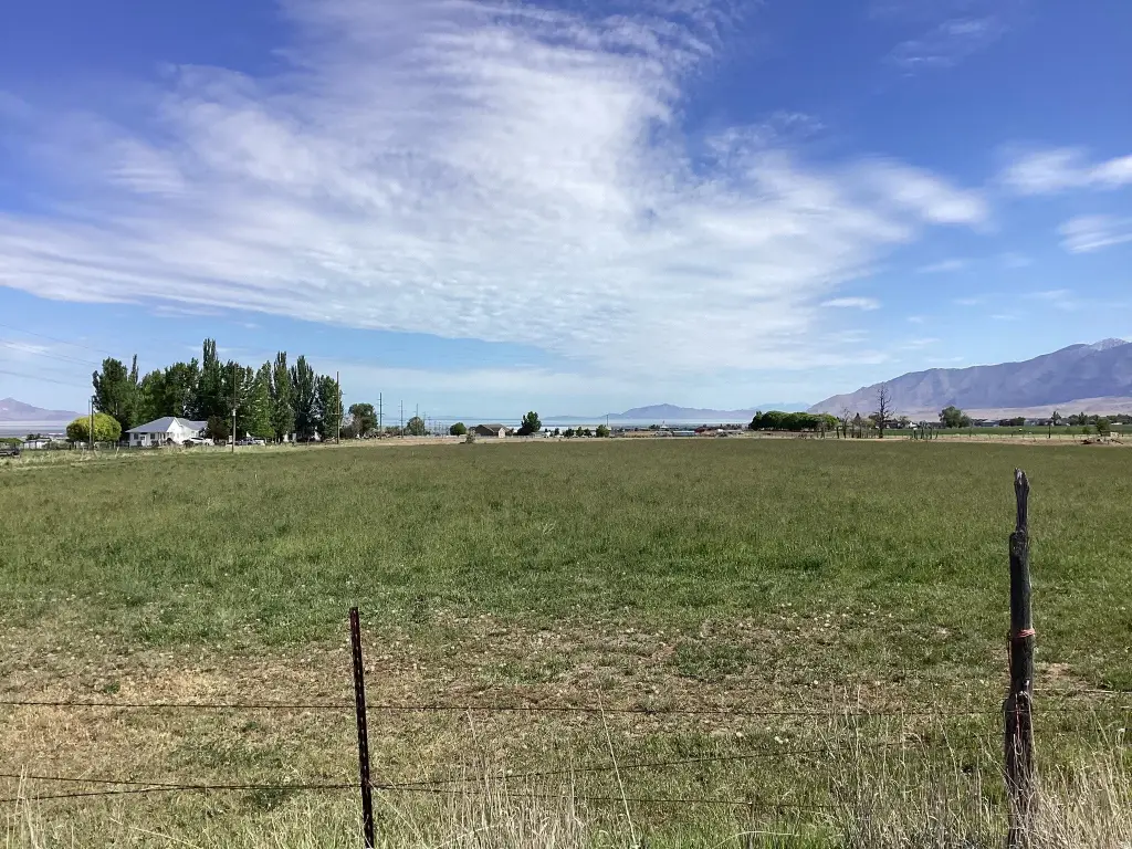 Picture 6