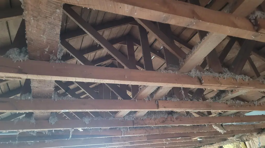 Picture 18