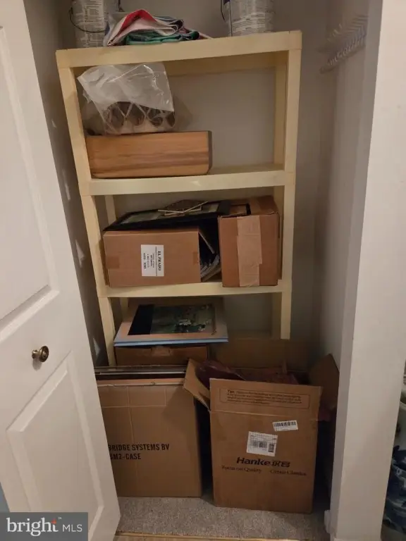Picture 23