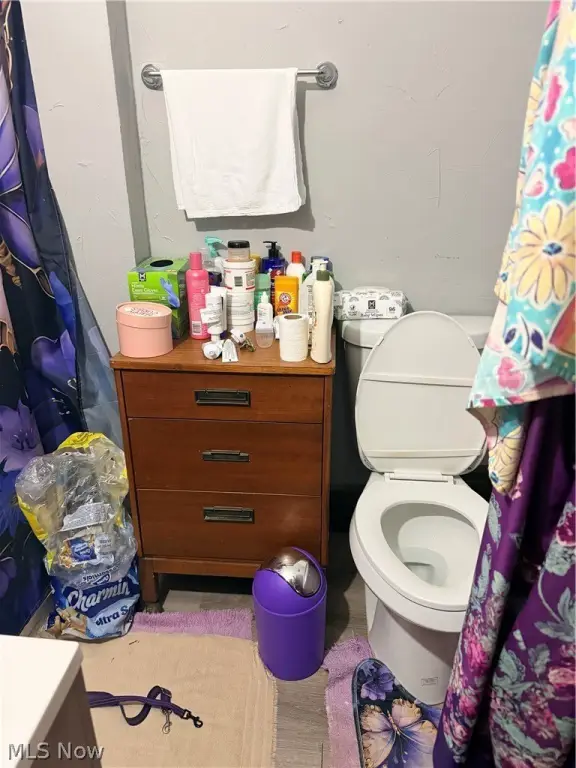 Picture 19