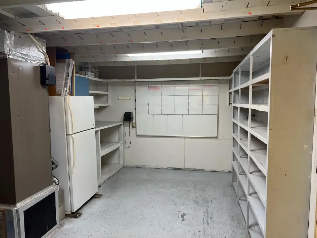 Picture 6