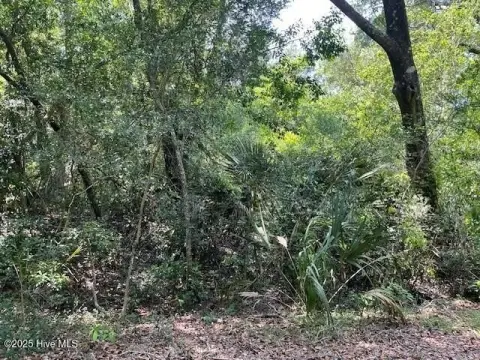 Homesite in Cape Fear Station