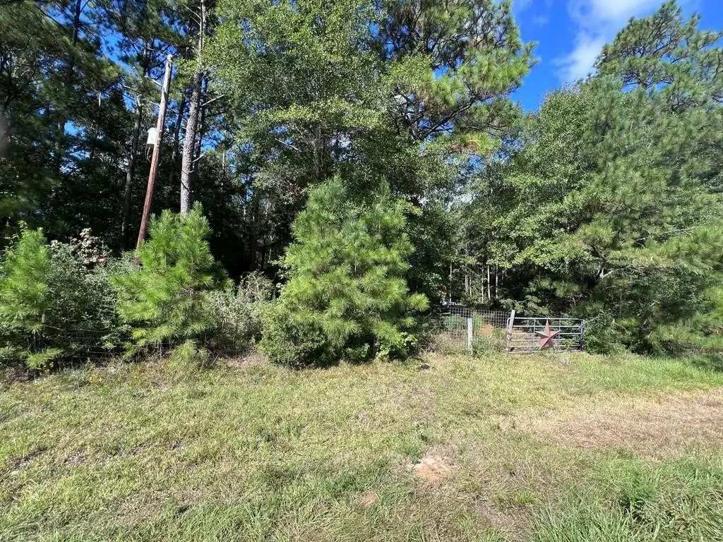 Picture 6