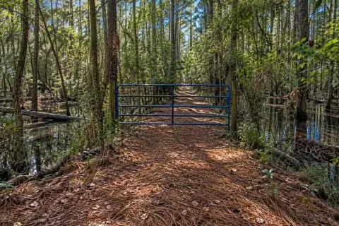 Wooded Hunting Land