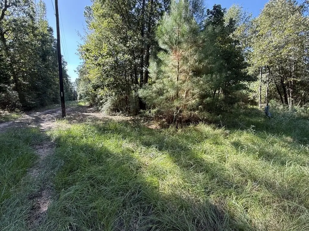 Picture 5