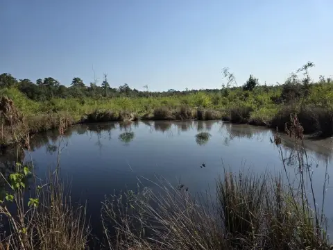 Recreation Land with Pond