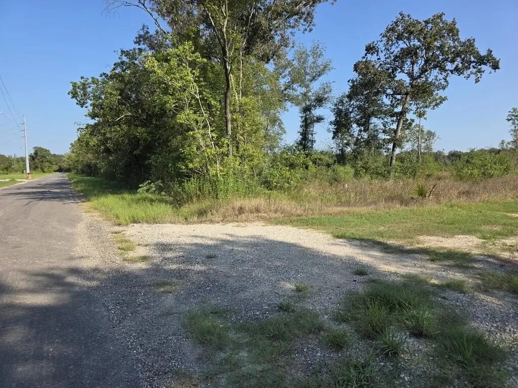 Picture 9