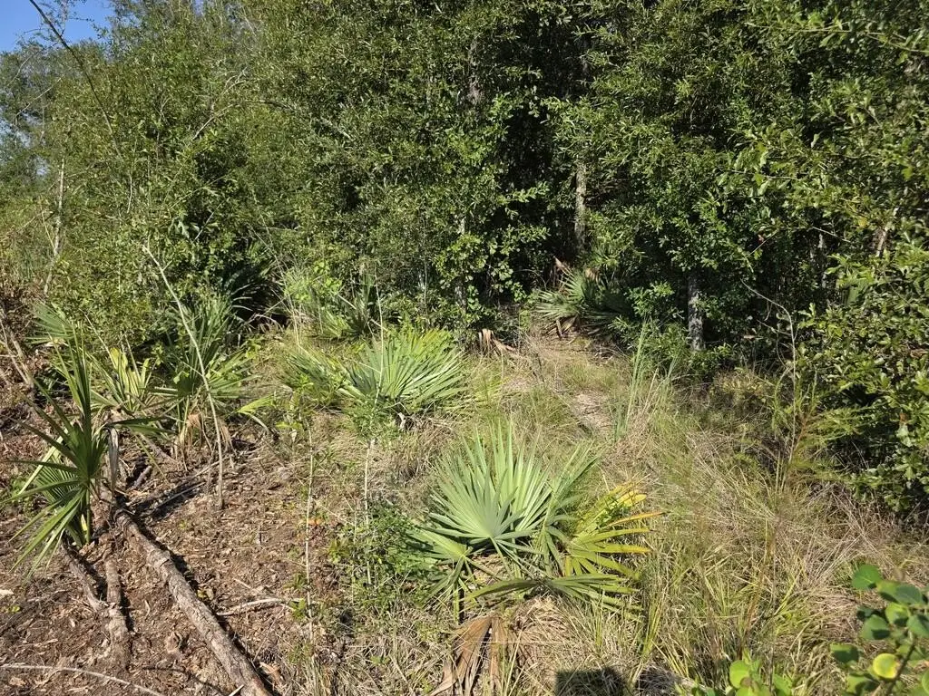 Picture 33