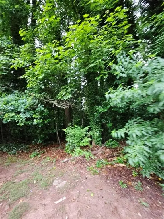 Picture 2