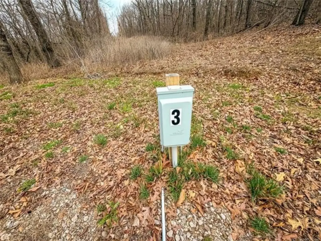 Picture 36