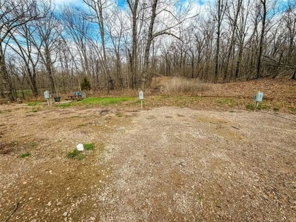 Picture 29
