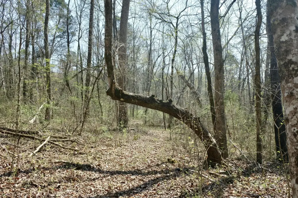 Picture 9