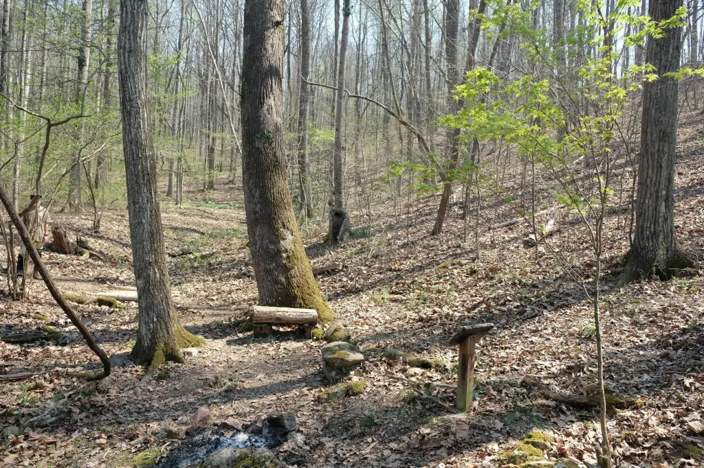 Picture 3